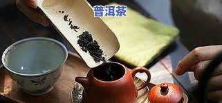 喝普洱茶前需要洗茶吗？原因解析与女性建议