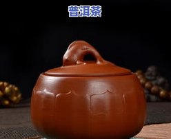 喝普洱茶需要准备什么东西-喝普洱茶需要准备什么东西呢