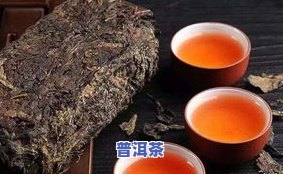 懂过有机普洱茶的人是谁-懂过有机普洱茶的人是谁啊