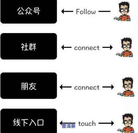 普洱茶简单冲泡程序全解析：步骤、图片及常见方法