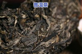 普洱茶怕冷吗？影响因素解析