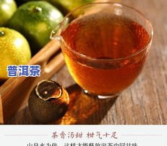 陈皮普洱茶价格查询：多少钱一盒？口感怎样？全网最全价格表！