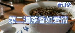 云南庆阳普洱茶多少钱一克？庆阳普洱茶价格、是否传销及庆阳号普洱茶258克价格全解析