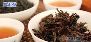 全州普洱茶大全：深度解析更受欢迎的茶叶