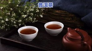 普洱茶是发酵食品吗为什么-普洱茶是发酵食品吗为什么不能喝