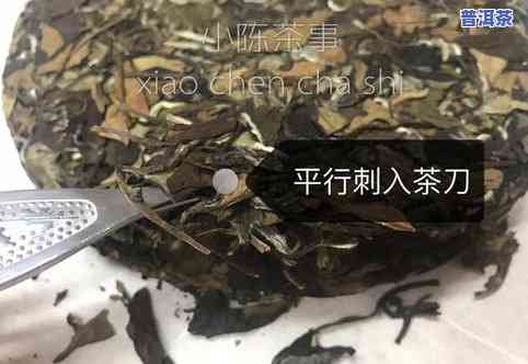 胃寒的人能喝茶叶茶吗？女性适用吗？详细解析