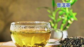 胃寒的人是否适合饮用茶叶？探讨其影响与适宜人群