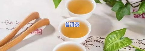 小孩子可以喝茶叶：是茶、茶水还是泡的茶？