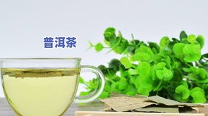 辟谷期间，女性能否饮用茶叶？