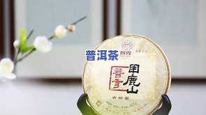 御贡普洱茶的特点及其品质评价