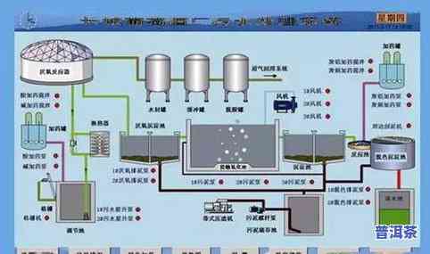 普洱茶发酵加工工艺流程图片全解析，高清大图一览，包括价格与详细工艺步骤