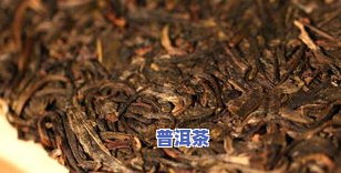 普洱茶光照：影响与变化全解析