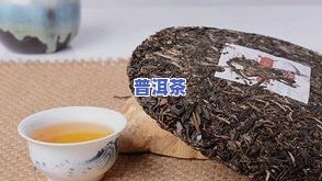 普洱茶哪里的好？云南普洱茶优产地及口感介绍，一般人喝不到的正宗好茶！