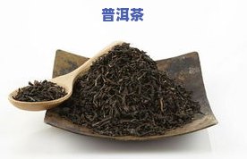 普洱茶哪个产地的好？口感、品质全方位解析！