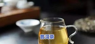 冰岛普洱茶味道淡：原因解析与品尝建议