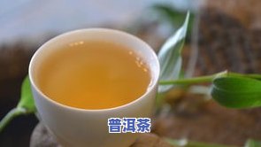 五一茶厂生态绿茶：价格、评价与全面介绍