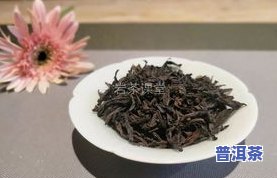 大红袍四大品种辨别：详解与图片