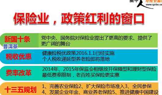 普洱茶源头供应链联盟：公司介绍、产品正品保证及直播间的详细内容