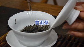 普洱生茶泡茶步骤视频教程：详解泡茶方法