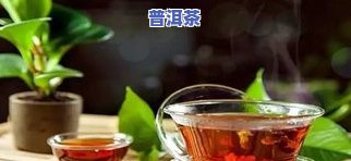 为什么普洱茶泡出来的颜色深浅不一、有时还浑浊？是什么原因导致其颜色为黑色？