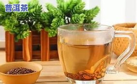 更好的茶叶有哪些?-降血脂效果更好的茶叶有哪些