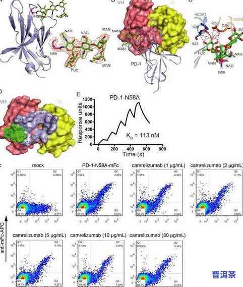 深入研究普洱茶中微生物的方案、方法与意义