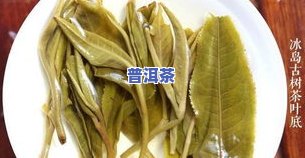 普洱茶的叶底辨别方法：真假、好坏全知道！