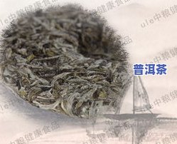 白茶十大知名排行榜：福鼎、一网打尽