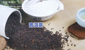 老班章熟茶口感特征-老班章熟茶的口感