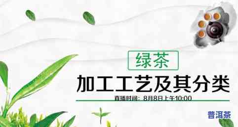 茶叶是怎样分类的？详解茶叶的基本分类与图片