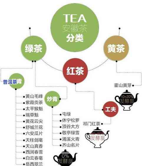 茶叶是怎样分类的？详解茶叶的基本分类与图片