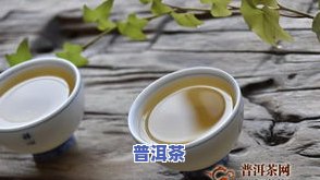 普洱茶龙头企业有哪些？揭秘知名及公司