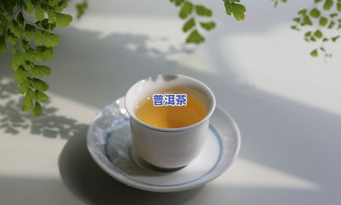 普洱茶在受欢迎度如何？探讨人对普洱茶的认知与接受程度