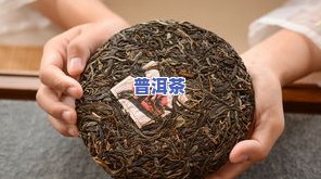 普洱茶的茶香：五大类别及特别韵味解析