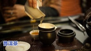 专业普洱茶：茶仓、网站与技术一站式服务