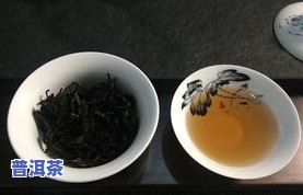 深度解析：普洱茶与黑茶的区别与联系及功效