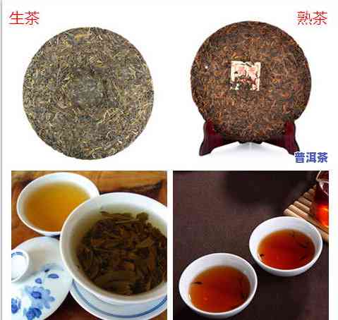 深度解析：普洱茶与黑茶的区别与联系及功效