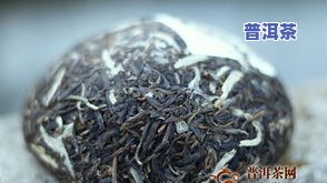 更好的普洱生茶是哪种？探讨其品种与口感特点