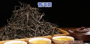 普洱茶于黑茶的区别是什么-普洱茶于黑茶的区别是什么呢