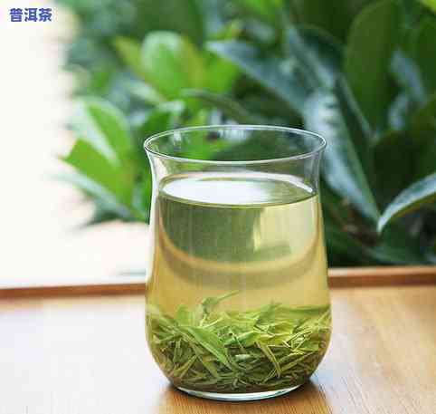 普洱茶是云雾茶吗？熟悉云雾普洱茶的价格与特点