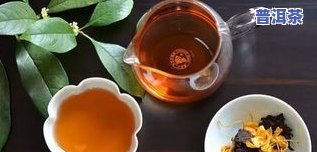 怎样煮陈皮蒸普洱茶？功效与禁忌全解析