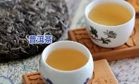 普洱茶测评：综合、口感与性价比的全面评价