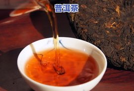 普洱茶测评：综合、口感与性价比的全面评价