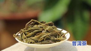 普洱熟茶的保存时间：多久最长？