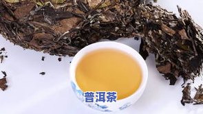 普洱茶直播带货平台推荐及教程：一网打尽！