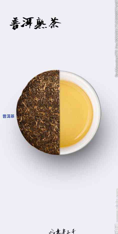 普洱茶贴图-普洱茶贴纸