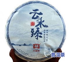 大益生普洱茶哪款好喝？全面评测告诉你