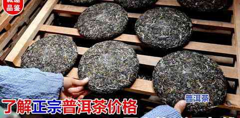 冰岛普洱茶属于熟茶类吗-冰岛普洱茶属于熟茶类吗为什么