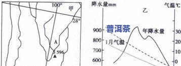 普洱茶有迷迭香吗为什么-普洱茶有迷迭香吗为什么不能喝