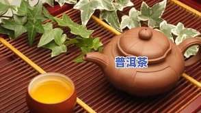 普洱茶的渊源是-普洱茶的渊源是什么